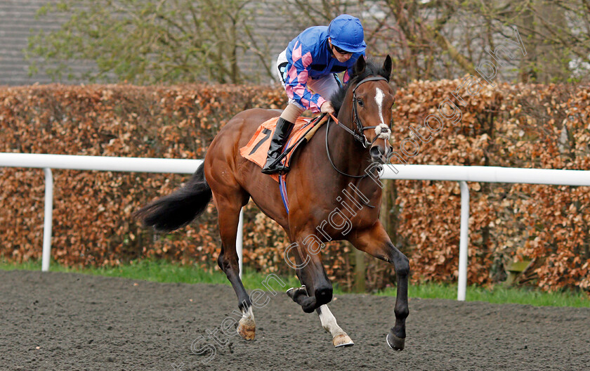 Paco s-Prince-0001 
 PACO'S PRINCE (Stevie Donohoe) Kempton 11 Apr 2018 - Pic Steven Cargill / Racingfotos.com