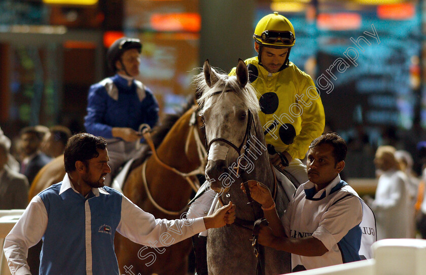 Portamento-0001 
 PORTAMENTO (Fernando Jara)
Meydan 14 Feb 2019 - Pic Steven Cargill / Racingfotos.com