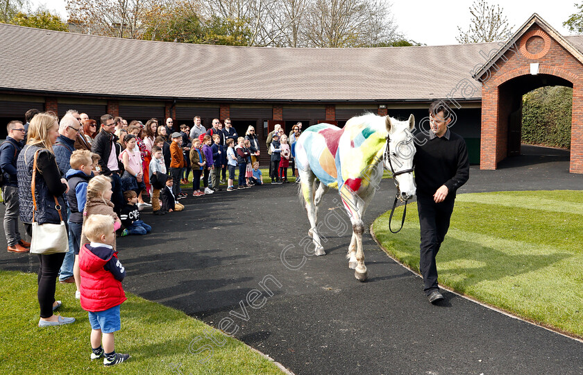 Junior-Jumpers-0004 
 Junior Jumpers tour
Cheltenham 18 Apr 2019 - Pic Steven Cargill / Racingfotos.com