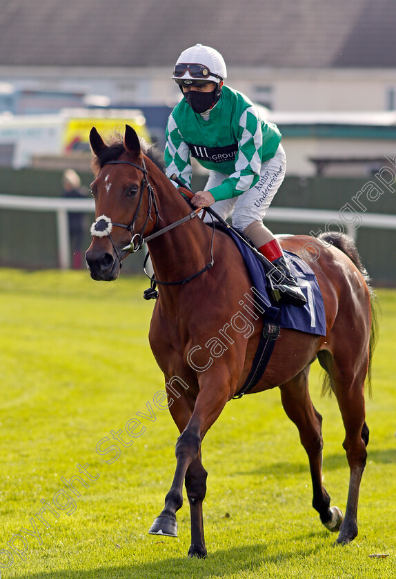 Ms-Gandhi-0002 
 MS GANDHI (Andrea Atzeni)
Yarmouth 20 Oct 2020 - Pic Steven Cargill / Racingfotos.com