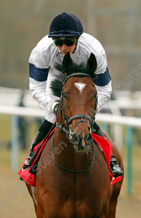 Headway-0002 
 HEADWAY (James Doyle) winner of The 32Red Spring Cup Stakes Lingfield 3 Mar 2018 - Pic Steven Cargill / Racingfotos.com