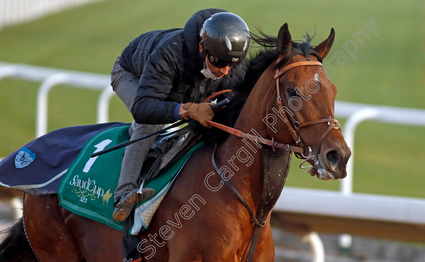 Cafe-Pharoah-0001 
 CAFE PHAROAH training for The Saudi Cup
King Abdulaziz Racecourse, Kingdom of Saudi Arabia, 22 Feb 2023 - Pic Steven Cargill / Racingfotos.com