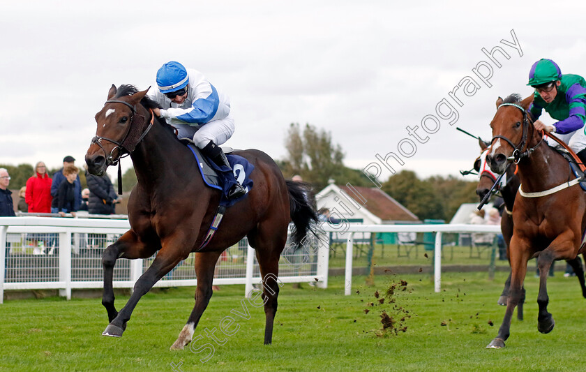 Ideal-Guest-0003 
 IDEAL GUEST (Mikkel Mortensen) wins The Regular Offers On Bresbet.com Handicap
Yarmouth 16 Oct 2023 - Pic Steven Cargill / Racingfotos.com