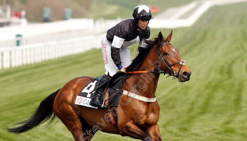 Liberty-Bella-0001 
 LIBERTY BELLA (Robert Dunne)
Cheltenham 18 Apr 2019 - Pic Steven Cargill / Racingfotos.com