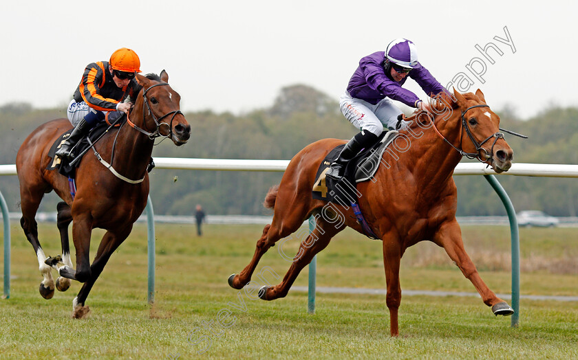 Sir-Rumi-0003 
 SIR RUMI (Rossa Ryan) beats KING OF CLUBS (left) in The Racing TV Profits Returned To Racing Novice Stakes
Nottingham 27 Apr 2021 - Pic Steven Cargill / Racingfotos.com