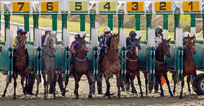 After-Eight-0004 
 AFTER EIGHT (stall 1, Callum Hutchinson) breaks with the field on his way to winning The Betway Median Auction Maiden Stakes
Lingfield 9 Mar 2022 - Pic Steven Cargill / Racingfotos.com