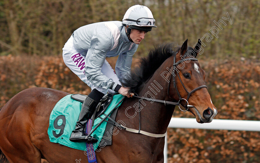 Sod s-Law-0003 
 SOD'S LAW (Charlie Bennett) Kempton 11 Apr 2018 - Pic Steven Cargill / Racingfotos.com