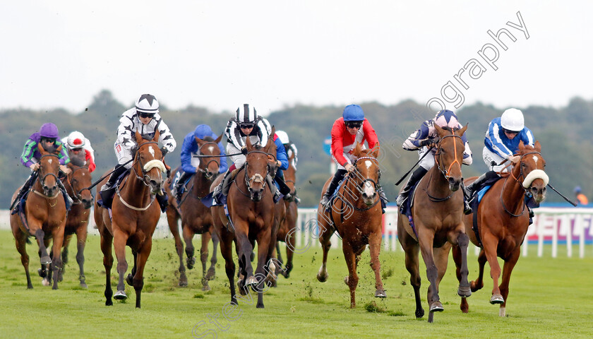 Circe-0007 
 CIRCE (Sean Levey) wins The Coopers Marquees EBF Maiden Fillies Stakes
Doncaster 15 Sep 2023 - Pic Steven Cargill / Racingfotos.com