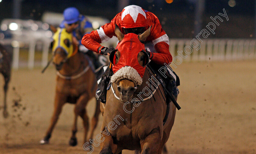 Krazy-Paving-0006 
 KRAZY PAVING (Callum Hutchinson) wins The tote Placepot Your First Bet All Weather Hands And Heels Apprentice Classified Stakes
Chelmsford 22 Jan 2021 - Pic Steven Cargill / Racingfotos.com