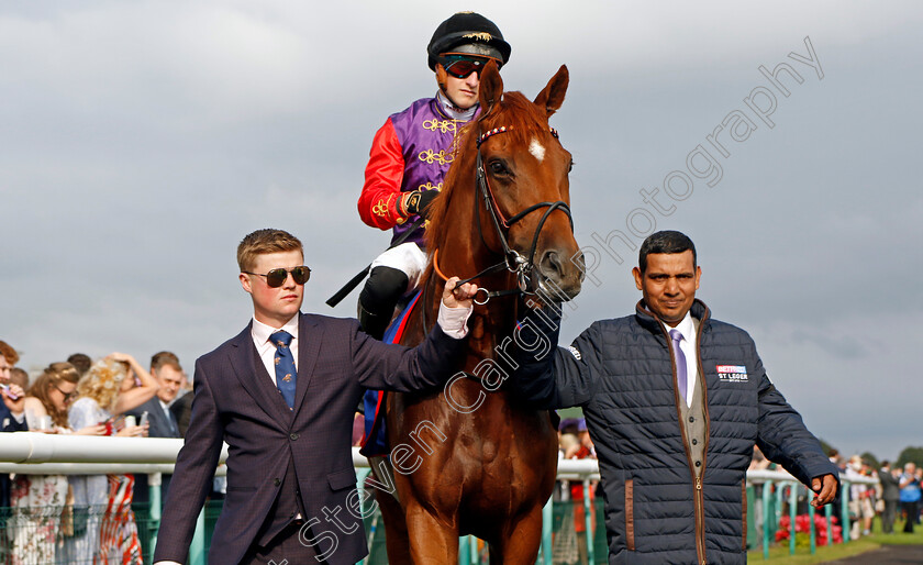 Desert-Hero-0002 
 DESERT HERO (Tom Marquand)
Doncaster 16 Sep 2023 - Pic Steven Cargill / Racingfotos.com