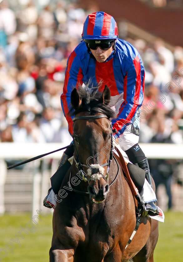 Prince-Of-Arran-0001 
 PRINCE OF ARRAN (Stevie Donohoe)
York 24 Aug 2019 - Pic Steven Cargill / Racingfotos.com