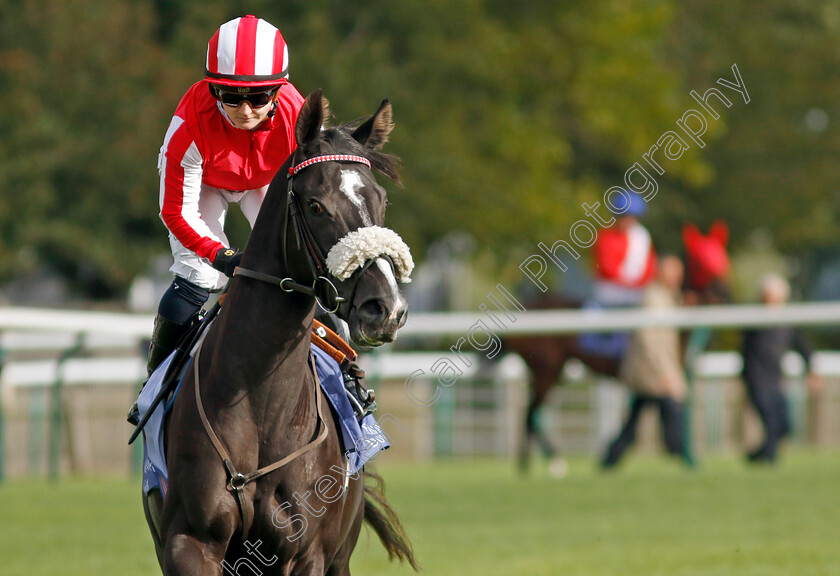 Duty-First-0002 
 DUTY FIRST (Hollie Doyle)
Newmarket 27 Sep 2024 - Pic Steven Cargill / Racingfotos.com