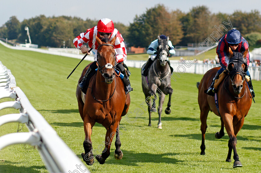 Via-Serendipity-0004 
 VIA SERENDIPITY (left, Stevie Donohoe) beats TURN ON THE CHARM (right) in The White Beech Farm Optional Claiming Handicap
Goodwood 22 Sep 2021 - Pic Steven Cargill / Racingfotos.com