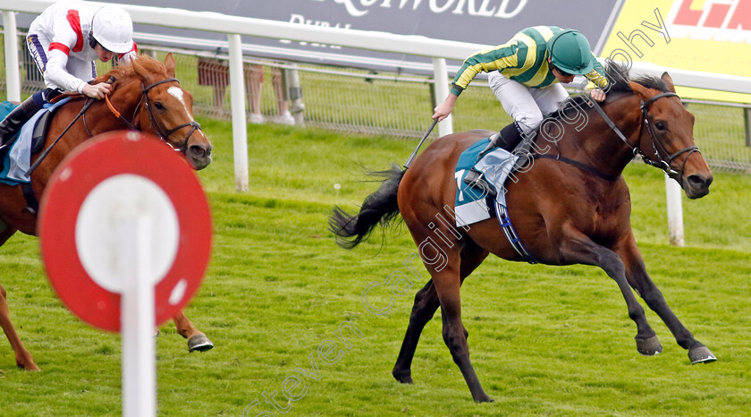 Chesspiece-0004 
 CHESSPIECE (Ryan Moore) wins The Collective Green Energy Handicap
York 18 May 2023 - Pic Steven Cargill / Racingfotos.com