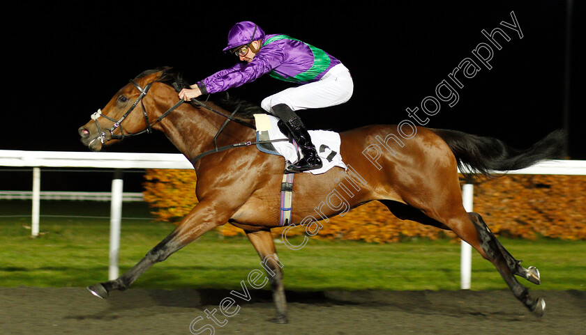 Eastern-Sheriff-0006 
 EASTERN SHERIFF (James Doyle) wins The 100% Profit Boost At 32redsport.com Novice Median Auction Stakes
Kempton 20 Nov 2019 - Pic Steven Cargill / Racingfotos.com