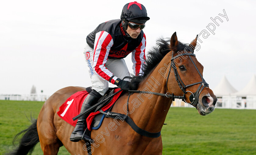 Deafening-Silence-0006 
 DEAFENING SILENCE (Harry Skelton) winner of The Betfair Beacons Winter Novices Hurdle
Sandown 8 Dec 2023 - pic Steven Cargill / Racingfotos.com