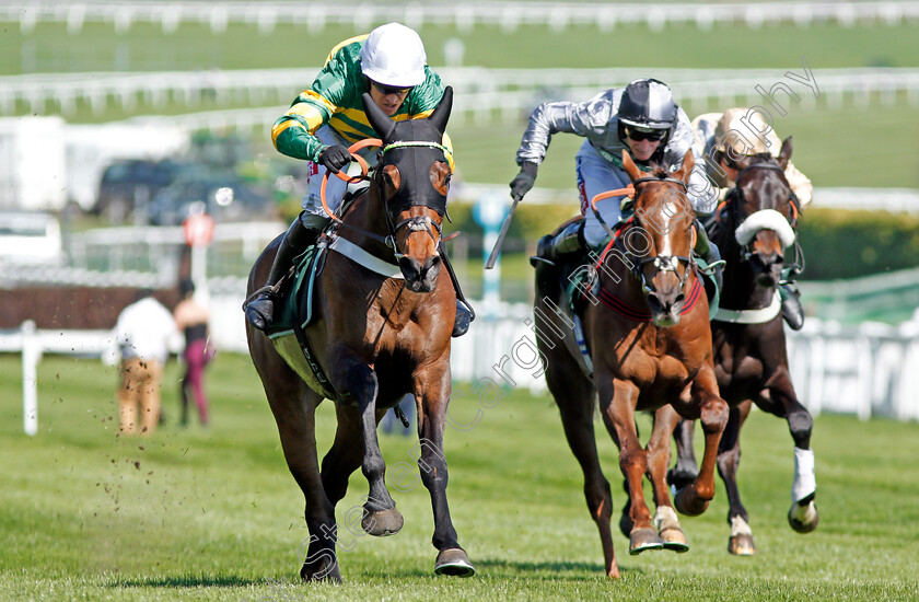 Dame-De-Compagnie-0005 
 DAME DE COMPAGNIE (Barry Geraghty) wins The Huw Stevens Jo Whiley Afterparty Onsale Mares Novices Hurdle Cheltenham 19 Apr 2018 - Pic Steven Cargill / Racingfotos.com