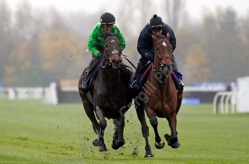 Constitution-Hill-and-Sir-Gino-0003 
 CONSTITUTION HILL (left, Nico de Boinville) with SIR GINO (right, James Bowen)
Coral Gold Cup gallops morning Newbury 19 Nov 20234 - Pic Steven Cargill / Racingfotos.com