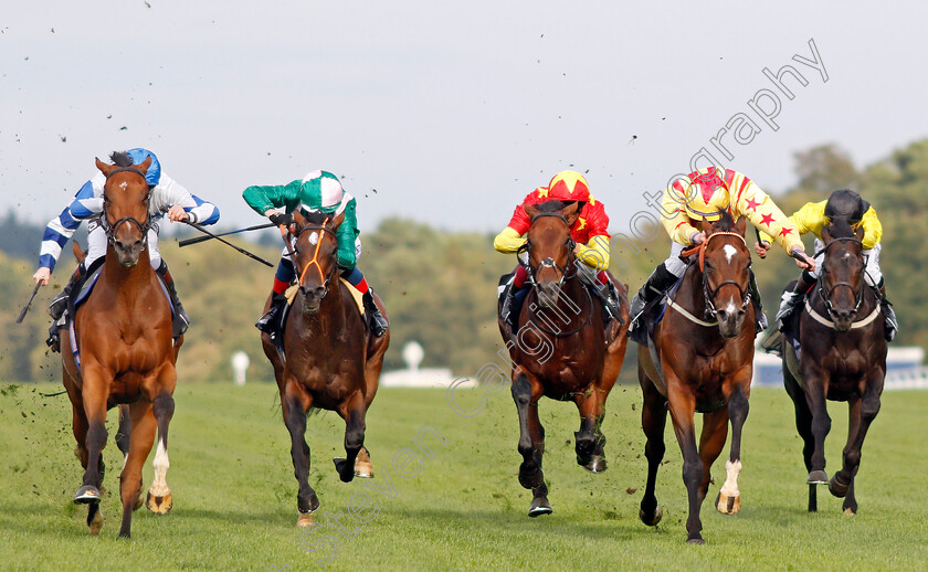 Francis-Xavier-0003 
 FRANCIS XAVIER (right, Rossa Ryan) beats PROTECTED GUEST (left) in The Victoria Racing Club Handicap
Ascot 6 Sep 2019 - Pic Steven Cargill / Racingfotos.com