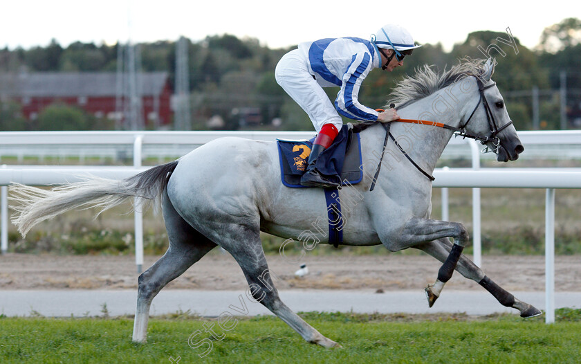 Thundering-Blue-0010 
 THUNDERING BLUE (Fran Berry) wins The Stockholm Cup International
Bro Park, Sweden 23 Sep 2018 - Pic Steven Cargill / Racingfotos.com