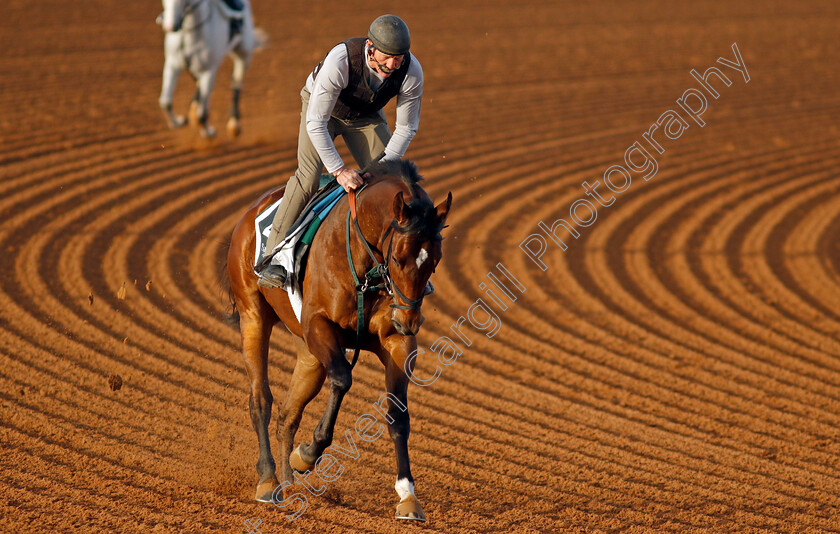 Book- Em-Danno-0001 
 BOOK 'EM DANNO training for The Saudi Derby
King Abdulaziz Racecourse, Saudi Arabia 20 Feb 2024 - Pic Steven Cargill / Racingfotos.com