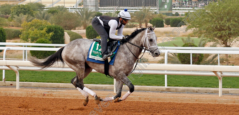 Saudi-Crown-0002 
 SAUDI CROWN training for The Saudi Cup
King Abdulaziz Racetrack, Saudi Arabia 22 Feb 2024 - Pic Steven Cargill / Racingfotos.com