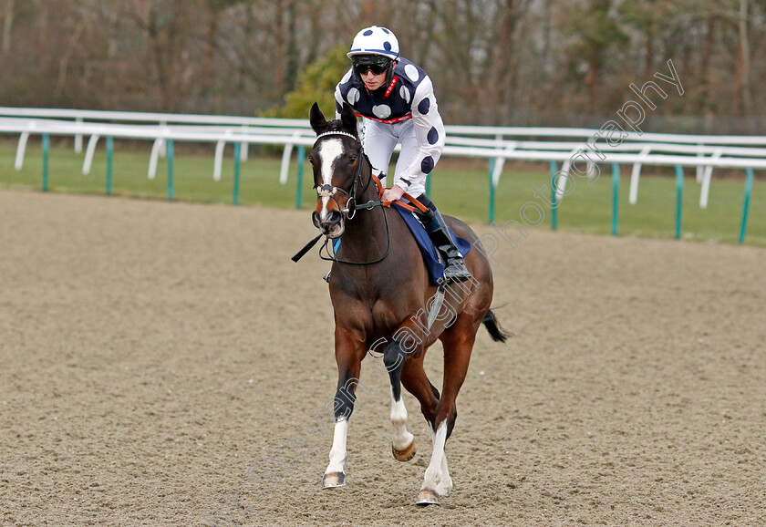 Saucy-Encore-0001 
 SAUCY ENCORE (Darragh Keenan)
Lingfield 14 Feb 2020 - Pic Steven Cargill / Racingfotos.com