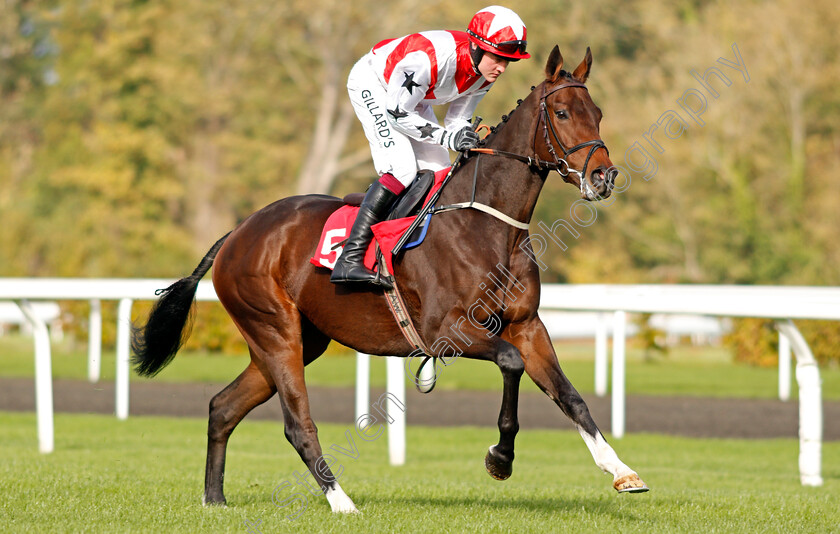 Jumping-Jack-0001 
 JUMPING JACK (David Noonan) Kempton 22 Oct 2017 - Pic Steven Cargill / Racingfotos.com