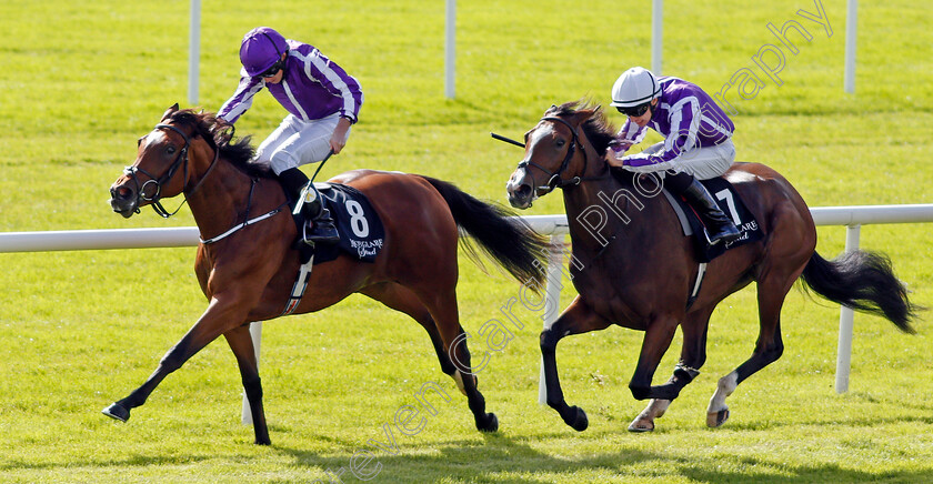 Happily-0001 
 HAPPILY (right, Donnacha O'Brien) beats MAGICAL (farside) in The Moyglare Stud Stakes Curragh 10 Sep 2017 - Pic Steven Cargill / Racingfotos.com