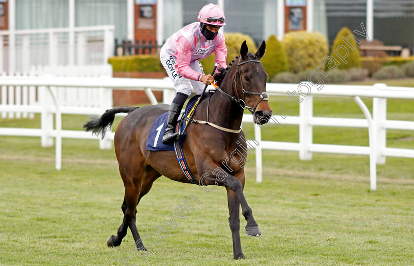 Rubee-Forty-0001 
 RUBEE FORTY (Sean Levey)
Lingfield 8 May 2021 - Pic Steven Cargill / Racingfotos.com