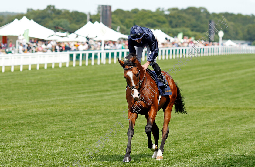 Chantilly-0001 
 CHANTILLY (Ryan Moore)
Royal Ascot 20 Jun 2024 - Pic Steven Cargill / Racingfotos.com