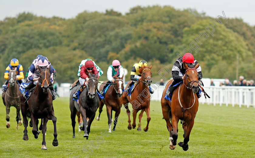 Herecomesthesun-0002 
 HERECOMESTHESUN (right, Edward Greatrex) beats BLANCHEFLEUR (left) in The British EBF Quidhampton Maiden Fillies Stakes Div1 Salisbury 7 Sep 2017 - Pic Steven Cargill / Racingfotos.com