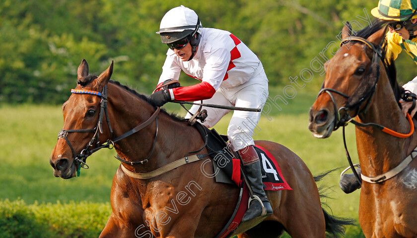 Zanjabeel-0009 
 ZANJABEEL (left, Ross Geraghty) beats MODEM (right) in The Calvin Houghland Iroquois Hurdle Grade 1, Percy Warner Park, Nashville 12 May 2018 - Pic Steven Cargill / Racingfotos.com