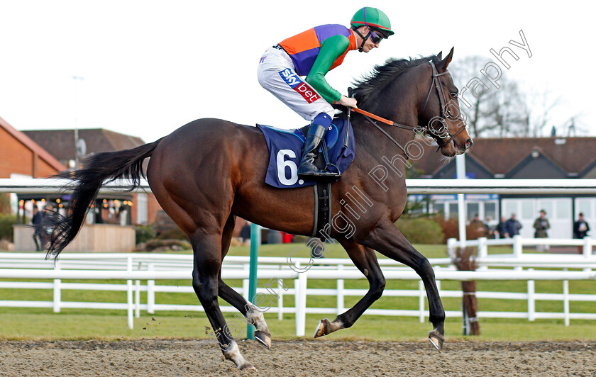 Leo-Minor-0001 
 LEO MINOR (Fran Berry) Lingfield 30 Dec 2017 - Pic Steven Cargill / Racingfotos.com