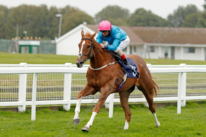 Many-A-Star-0004 
 MANY A STAR (Andrea Atzeni) wins The Seadeer Handicap
Yarmouth 16 Sep 2020 - Pic Steven Cargill / Racingfotos.com