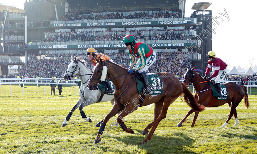 Vieux-Lion-Rouge-0001 
 VIEUX LION ROUGE (Tom Scudamore)
Aintree 6 Apr 2019 - Pic Steven Cargill / Racingfotos.com