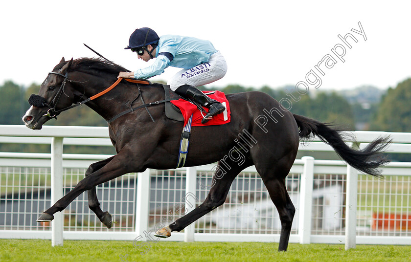 Archetype-0002 
 ARCHETYPE (Oisin Murphy) wins The All New Fiesta At Trust Ford Handicap Sandown 1 Sep 2017 - Pic Steven Cargill / Racingfotos.com