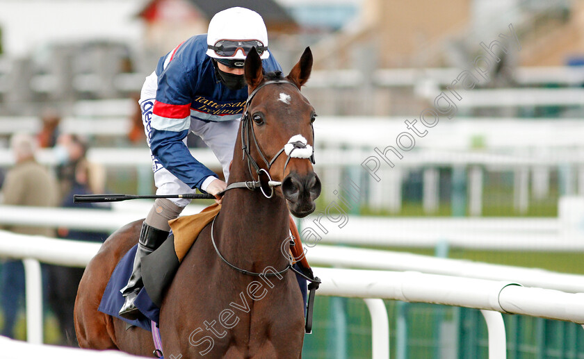 Carolus-Magnus-0001 
 CAROLUS MAGNUS (David Probert)
Doncaster 28 Mar 2021 - Pic Steven Cargill / Racingfotos.com