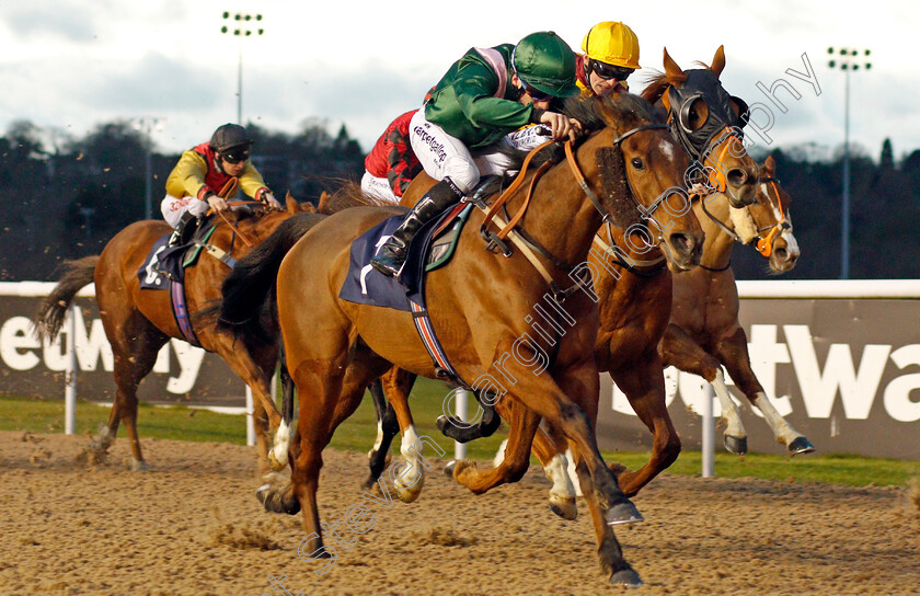 Pulsating-0001 
 PULSATING (Edward Greatrex) wins The Betway Sprint Handicap Wolverhampton 4 Jan 2018 - Pic Steven Cargill / Racingfotos.com