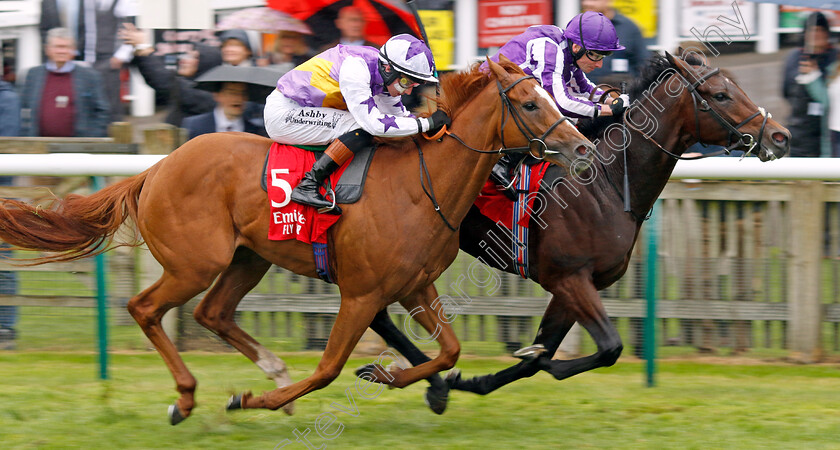 Delacroix-0002 
 DELACROIX (right, Ryan Moore) beats STANHOPE GARDENS (left) in the Emirates Autumn Stakes
Newmarket 12 Oct 2024 - Pic Steven Cargill / Racingfotos.com