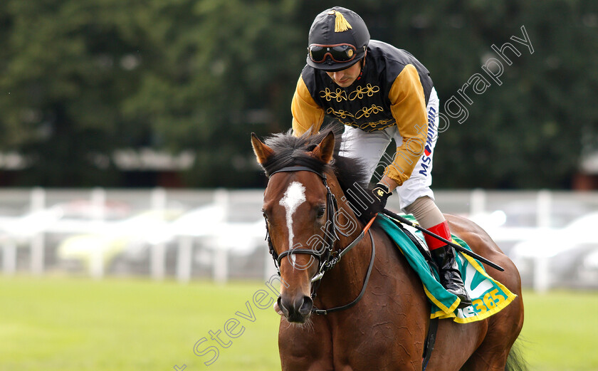 Waldpfad-0001 
 WALDPFAD (Andrea Atzeni) after The bet365 Hackwood Stakes
Newbury 20 Jul 2019 - Pic Steven Cargill / Racingfotos.com