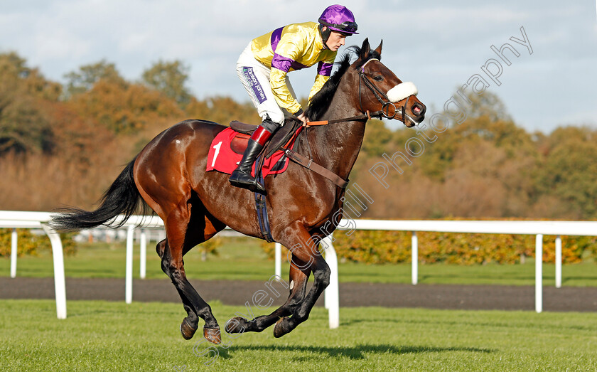 Amour-De-Nuit-0002 
 AMOUR DE NUIT (Sam Twiston-Davies) winner of The Better Odds With Matchbook Novices Hurdle Kempton 22 Oct 2017 - Pic Steven Cargill / Racingfotos.com