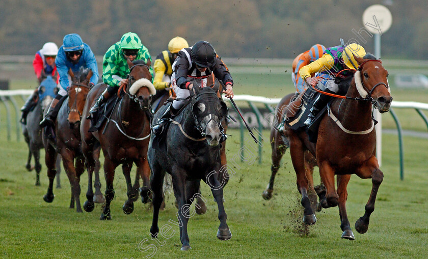 Harry s-Ridge-0008 
 HARRY'S RIDGE (right, Harrison Shaw) beats TOMAHAWK RIDGE (left) in The Download The Mansionbet App Handicap
Nottingham 4 Nov 2020 - Pic Steven Cargill / Racingfotos.com