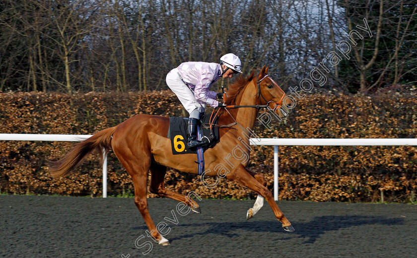 Low-Profile-0001 
 LOW PROFILE (Kieran Shoemark) Kempton 21 Mar 2018 - Pic Steven Cargill / Racingfotos.com