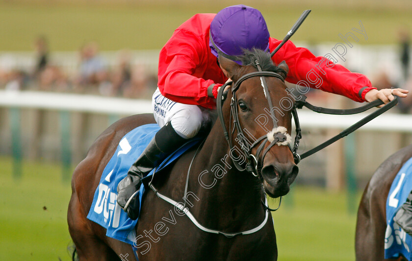 Valeria-Messalina-0001 
 VALERIA MESSALINA (Shane Foley) 
Newmarket 11 Oct 2019 - Pic Steven Cargill / Racingfotos.com