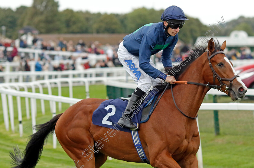 Capla-Mojo-0001 
 CAPLA MOJO (Luke Morris)
Yarmouth 19 Sep 2023 - Pic Steven Cargill / Racingfotos.com