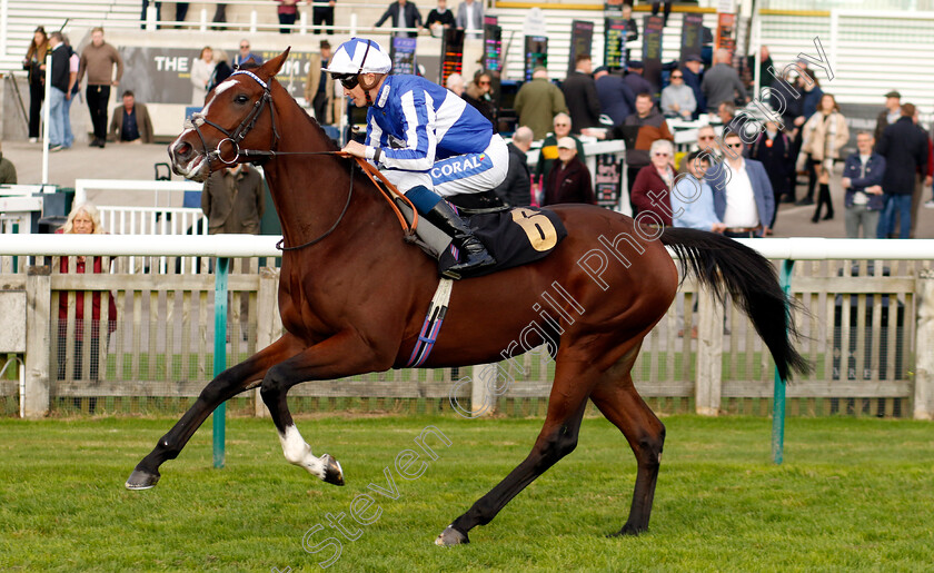 The-Cursor-0001 
 THE CURSOR (David Probert)
Newmarket 23 Oct 2024 - Pic Steven Cargill / Racingfotos.com