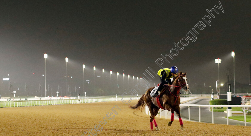 Jasper-Krone-0002 
 JASPER KRONE training for The Al Quoz Sprint
Meydan Dubai 26 Mar 2024 - Pic Steven Cargill / Racingfotos.com