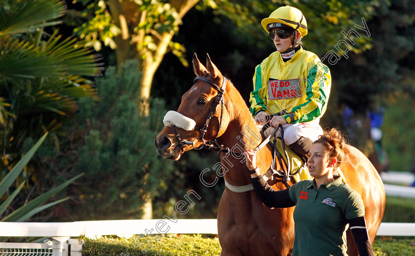 Indyzeb-0001 
 INDYZEB (Hollie Doyle)
Kempton 2 Oct 2019 - Pic Steven Cargill / Racingfotos.com