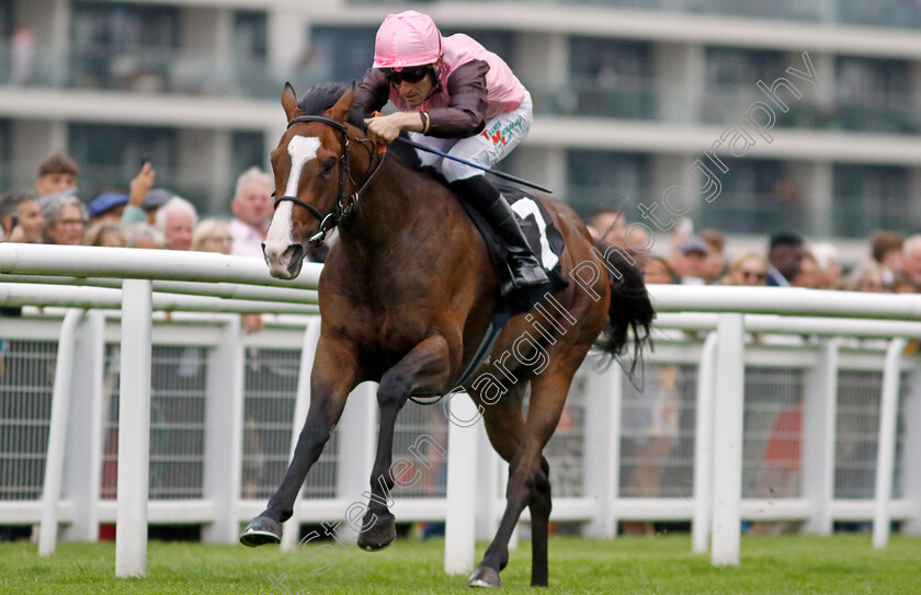 Cinnodin-0003 
 CINNODIN (Finley Marsh) wins The Bob Barker Memorial Handicap
Newbury 27 Jul 2023 - Pic Steven Cargill / Racingfotos.com